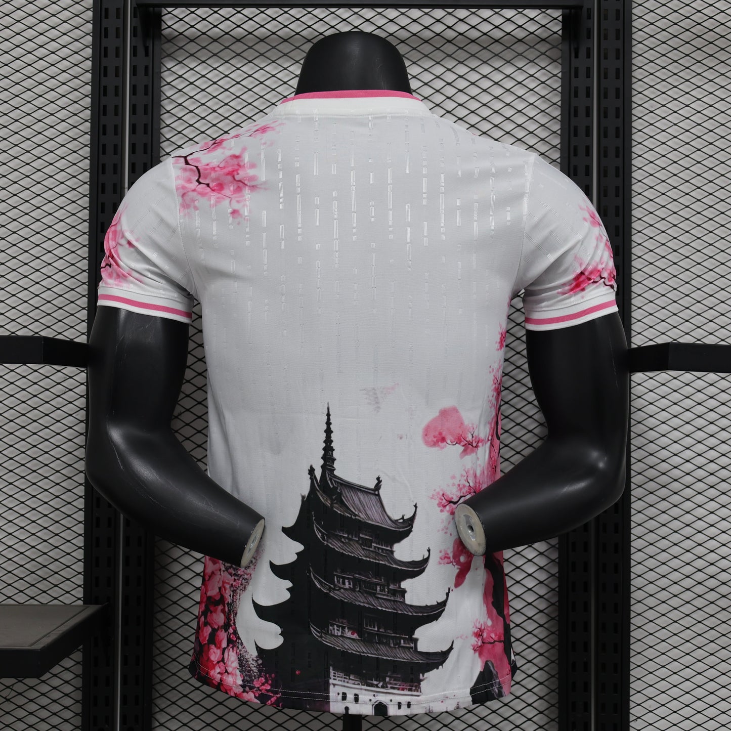 Japan "Dragon de Fuji" special kit